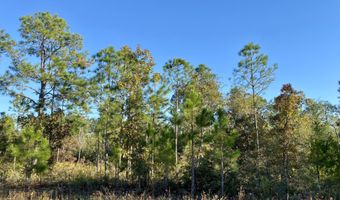 Nezperce Drive lot 128, Alford, FL 32420