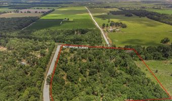 TBD 73rd Trl, Bell, FL 32619