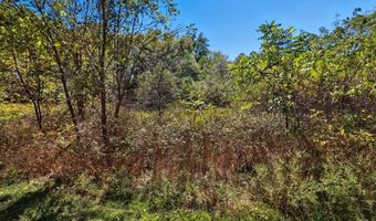 Private Drive 4755, Ava, MO 65608