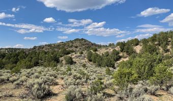 Tres Lomas, Arroyo Hondo, NM 87513