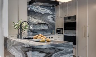 500 W Smuggler St, Aspen, CO 81611