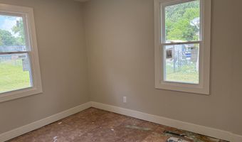 1009 N Mingo St, Albion, MI 49224