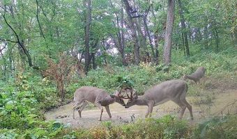Simons Rd, Alma, WI 54610