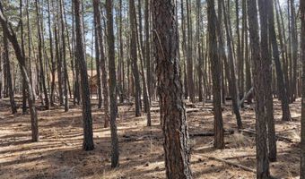 Knollwood Way lot 3, Angel Fire, NM 87710