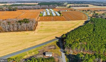 8937 NINEPIN BRANCH Rd, Berlin, MD 21811