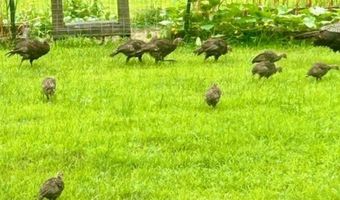 137 Pleasant Valley Rd, Brattleboro, VT 05301