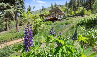 768 Kings Lake Rd, Basalt, CO 81621