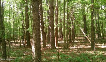 Pleasant Hills Road, Amory, MS 38821