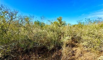 1252 CR 202, Alice, TX 78332