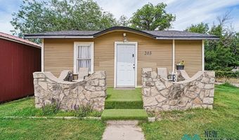203 S Mesa St, Carlsbad, NM 88220