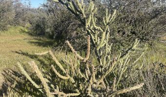 56795 Cain Rd, Anza, CA 92539