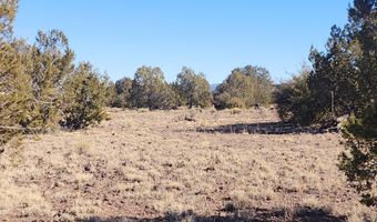 251 Se4 Juniperwood Rnch, Ash Fork, AZ 86320