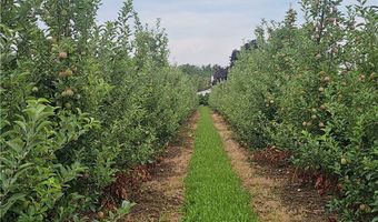 3120 Densmore Rd, Albion, NY 14411