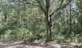 Brock Cir, Brandon, MS 39042
