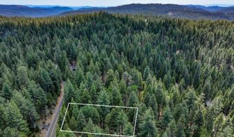 4741 Meko Dr, Camp Connell, CA 95223