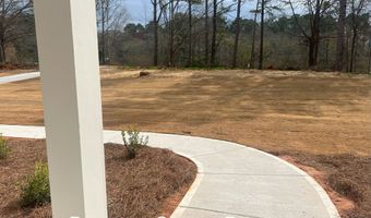 Lot 2 Silver Dollar, Barnesville, GA 30204