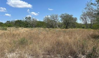 195 CR 1461 Lot 8, Alice, TX 78332