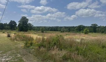 39207-1 State Highway 59, Bay Minette, AL 36507
