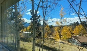 374 Fern Rd, Woodland Park, CO 80863