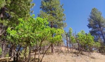 1430 W Elk Ridge Dr, Alton, UT 84710