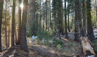 550 Cabbage Patch Log Rd, South Lake Tahoe, CA 95223