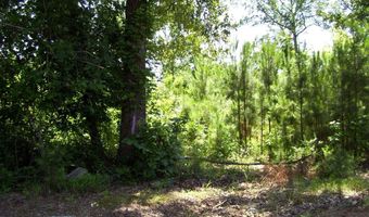 1131 LR 35, Ashdown, AR 71822