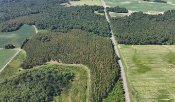 Highway 112, Abbeville, GA 31001