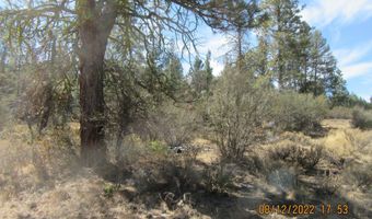 Tiger Lane lot 2, Bonanza, OR 97623