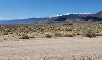 810 Chiatovich Creek Road Lot 8A1, Dyer, NV 89010