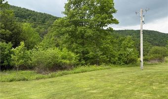 951 Two Mile Rd, Allegany, NY 14760