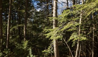 Branch View Terrace lot 5, Alfred, ME 04002