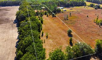 4506 10th St, Bell, FL 32619