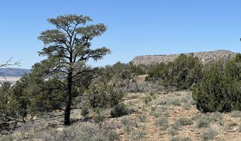 295 Old Deputy Shortline, Ash Fork, AZ 86320