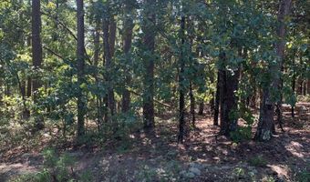11 Alegria Way, Hot Springs Village, AR 71909