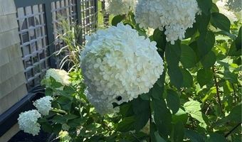 1448 Mohegan Trl, Block Island, RI 02807