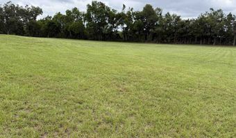 64 Hwy, Adamsville, TN 38310