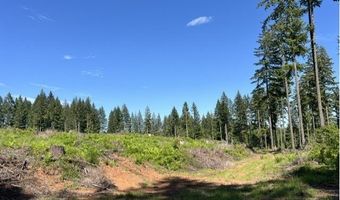Tunnel Tract Parcel2, Banks, OR 97106