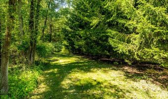 3447 River Pines Dr, Ann Arbor, MI 48103