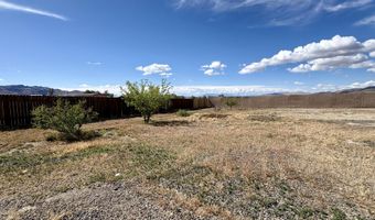 510 Sibbald Ave, Golconda, NV 89414