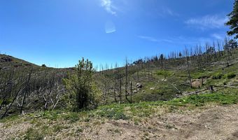 100 Canyon Gulch Rd, Bellvue, CO 80512