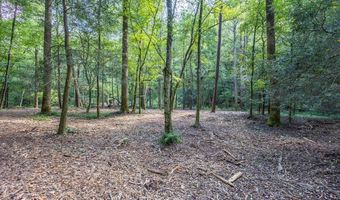 23 59 Ac Chestnut Flats Rd, Andrews, NC 28901