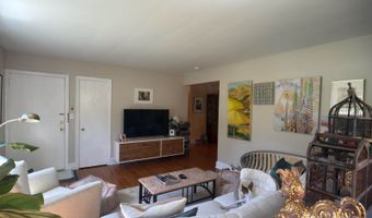 300 Charlotte St, Asheville, NC 28801