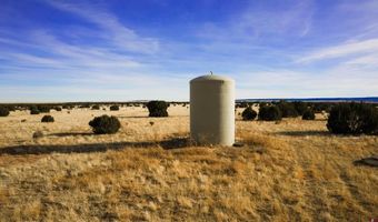 000 County Road 40.2 Poitry Canyon Ranch, Branson, CO 81027