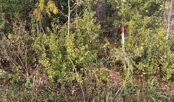 BURVANT Street lot 5, Abita Springs, LA 70420