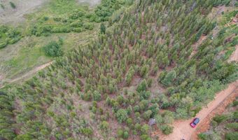 427 Wise Rd, Bailey, CO 80421