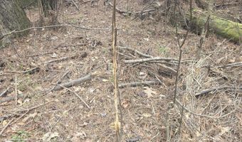 U.S. Highway 51, Bogue Chitto, MS 39629