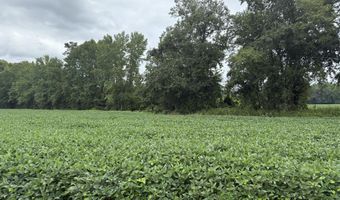 Sr 1932 Off, Aurora, NC 27806