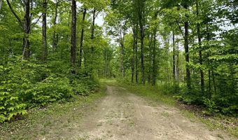 TBD OFF CR 426, Arnold, MI 49819