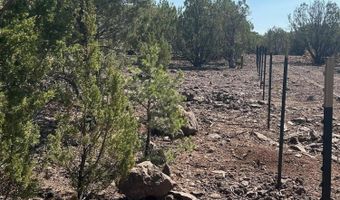 Lot 11 Uphill Trail, Vernon, AZ 85940