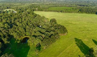 8645 Moores Mill Creek Rd, Baker, FL 32531